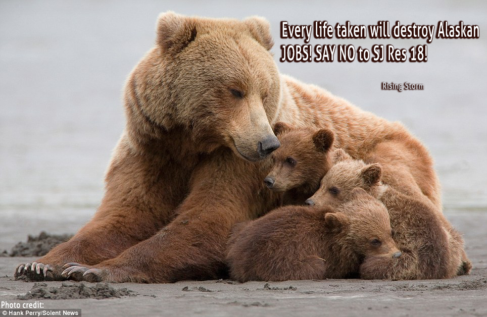 SJ Res 18 will kill Alaskan jobs as it kills AK wildlife on National Wildlife Refuge lands!