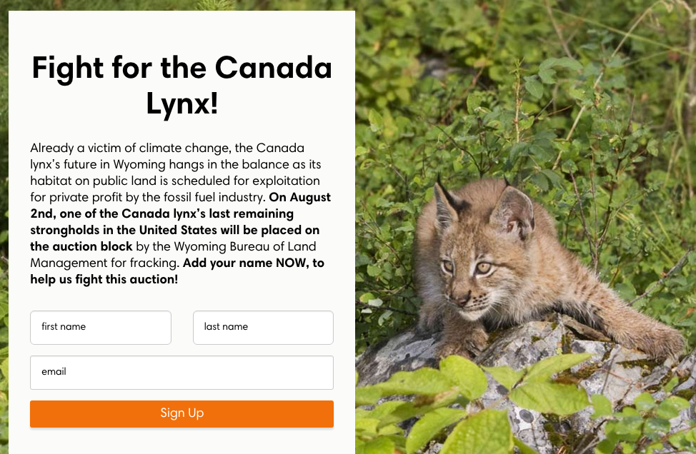 Help save the Canada Lynx