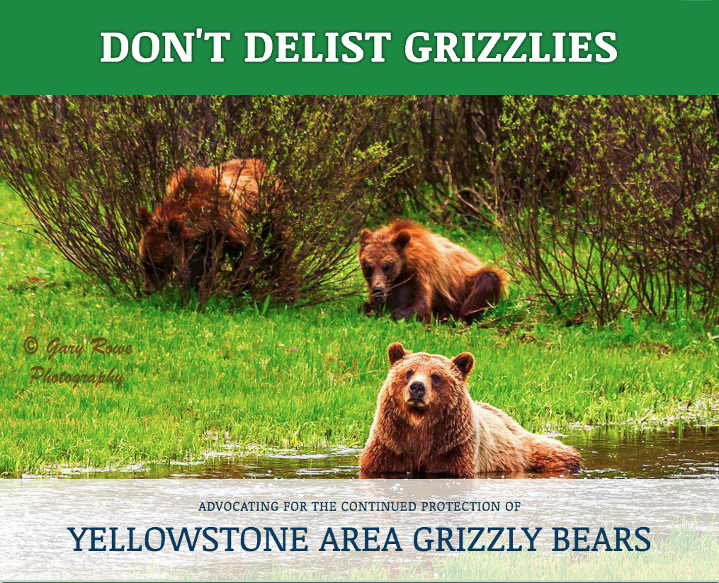 Don't Delist Grizzlies