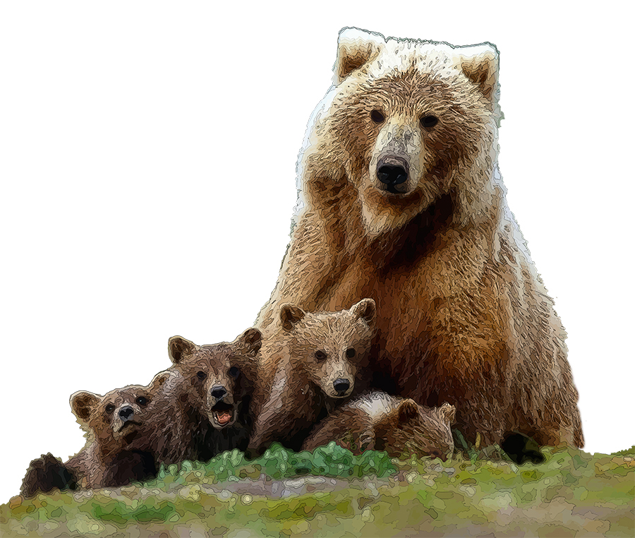 Do NOT Delist Grizzlies - Public Comments