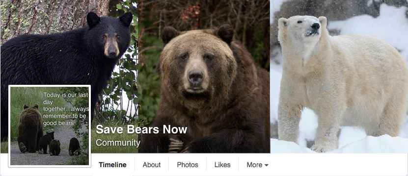 Save Bears Now!
