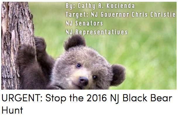 Stop the NJ black bear hunt!