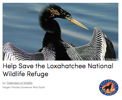 Save Arthur R. Marshall Loxahatchee National Wildlife Refuge